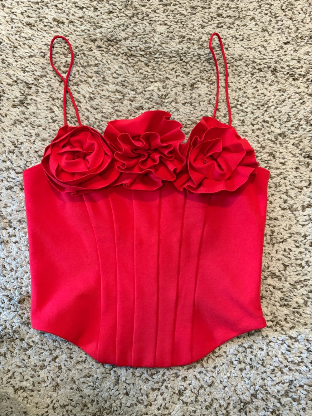 Sunday in Brooklyn (Anthropologie) Red Floral Corset Top